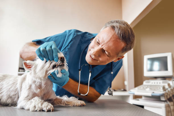 Best Tooth Infection Emergency Dentist  in Malabar, FL